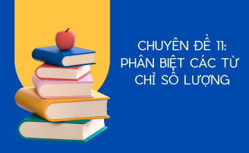 Ảnh mô tả