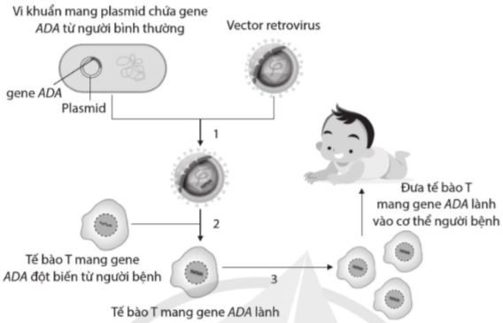 Ảnh có chứa văn bản, biểu đồ, ảnh chụp màn hình, bản phác thảo

Mô tả được tạo tự động